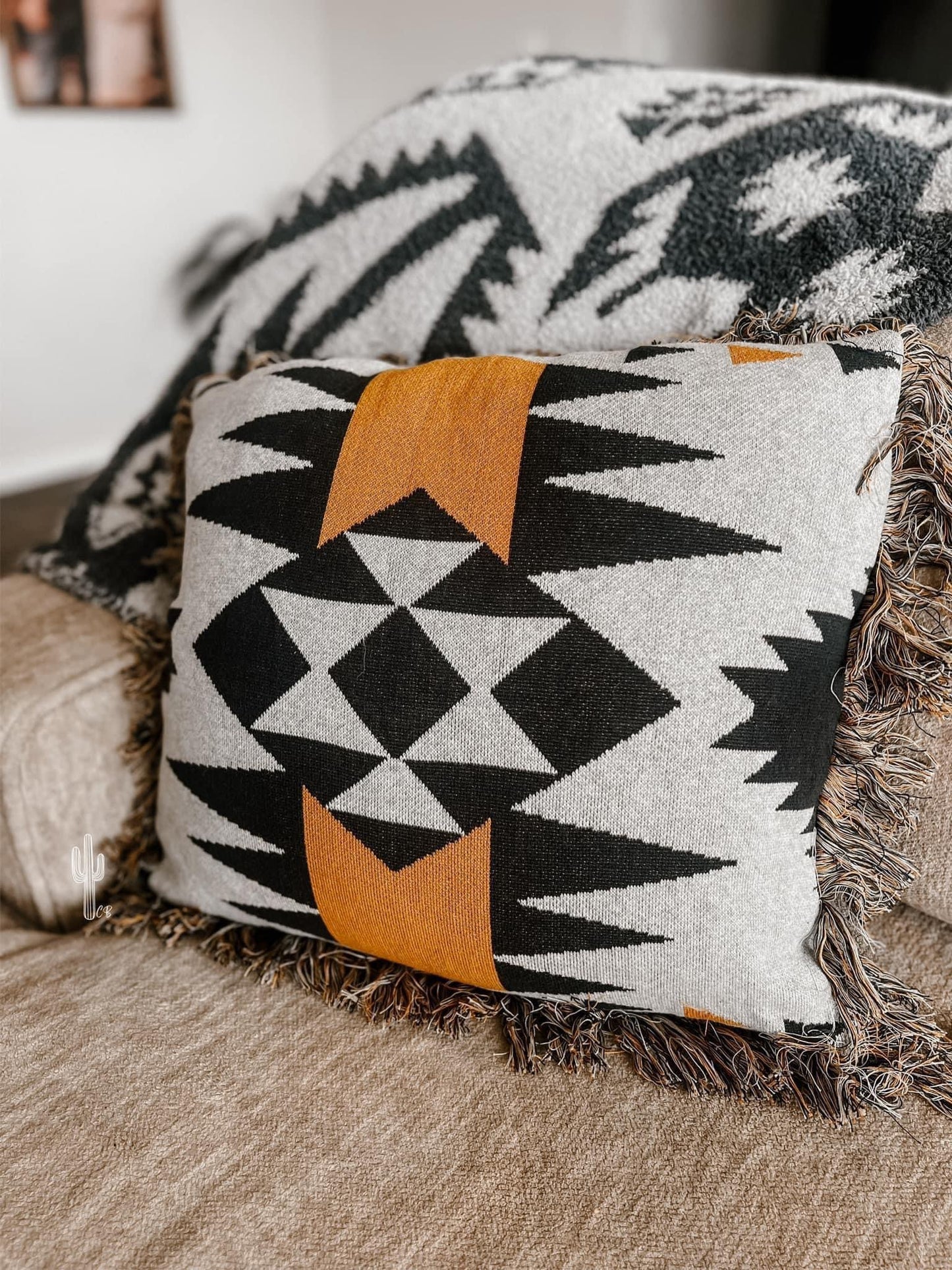 Southwestern Pillows